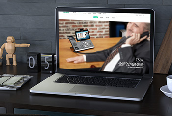 ʮ������